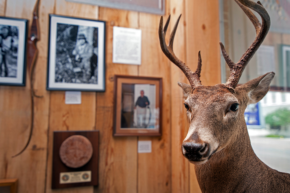 Ms Wildlife Heritage Museum Photo Gallery